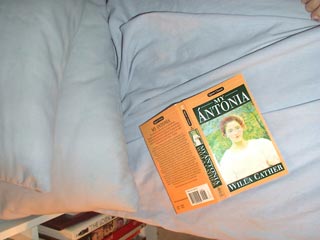 We're reading it at the Chicklit Classics Book Club