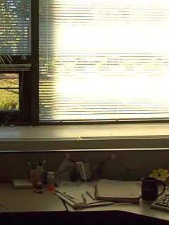 Adjusting the shades is like hiking to the Himlayas - I have to crawl over my desk, jump the gulch, clambor on the heating duct, adjust the shade, crawl back to the desk and see if it's any better. Repeat until happy.