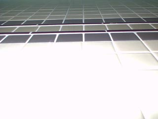 I threw up in this stall on Friday.